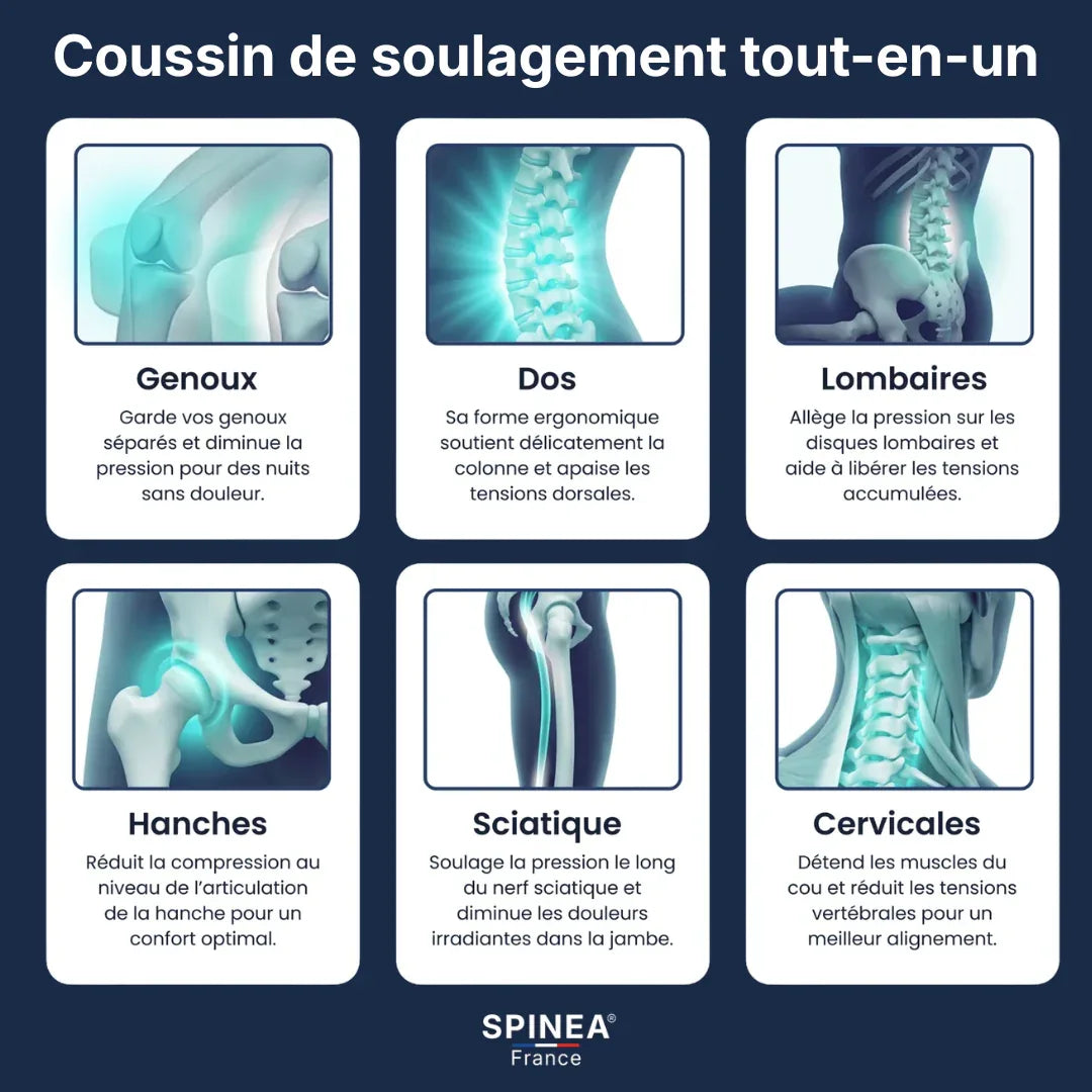 Coussin Genoux Ergonomique & Décompression Sciatique